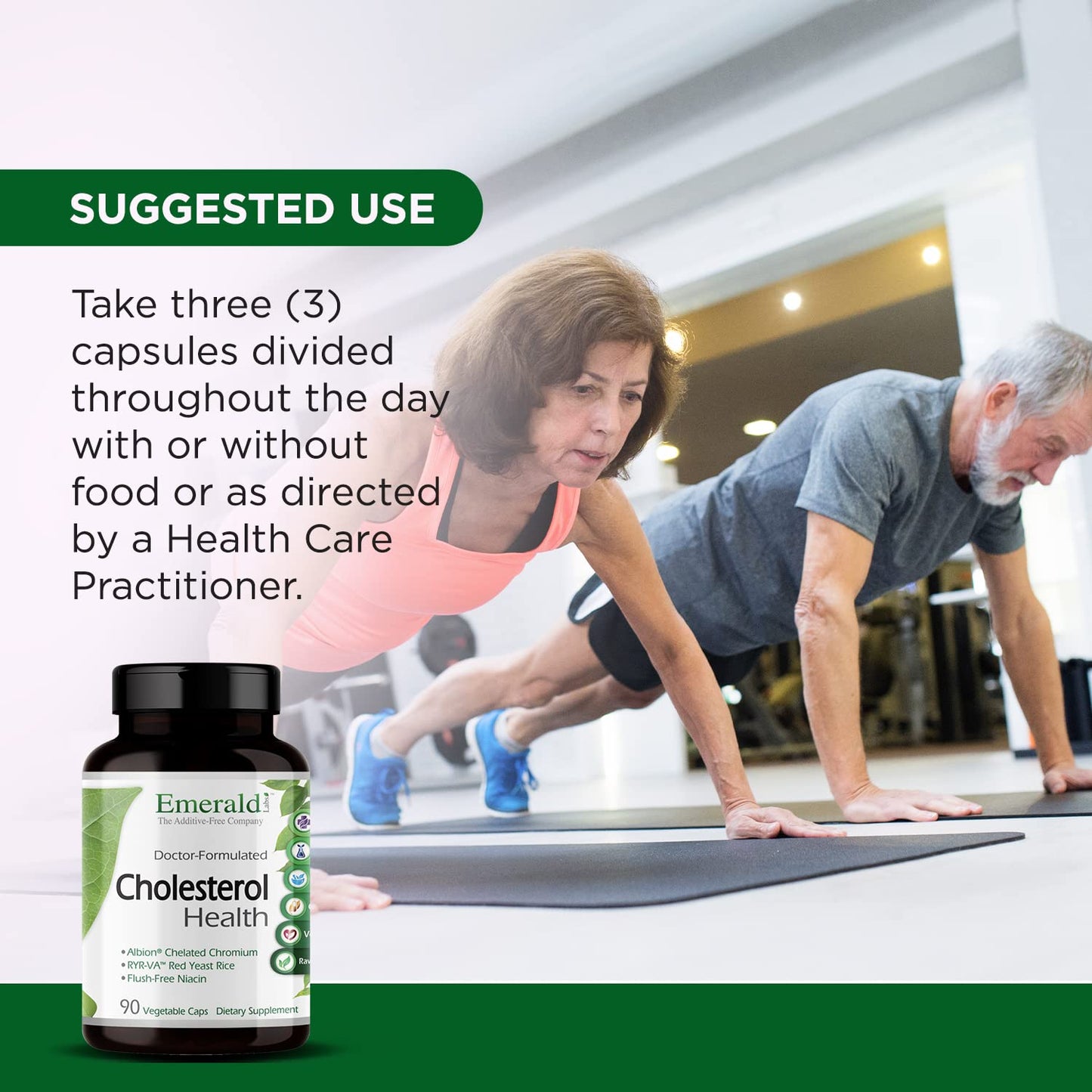 Emerald Labs Cholesterol Health - CoQ10, Flush-Free Niacin, RYR-VA, Garlic - 90 Veg Capsules