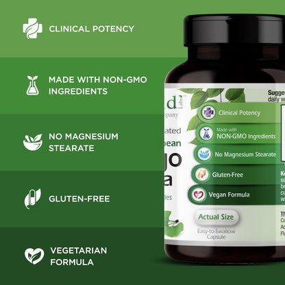 Emerald Labs Ginkgo Biloba Extract - Brain Health & Antioxidant Support - 60 Veg Capsules