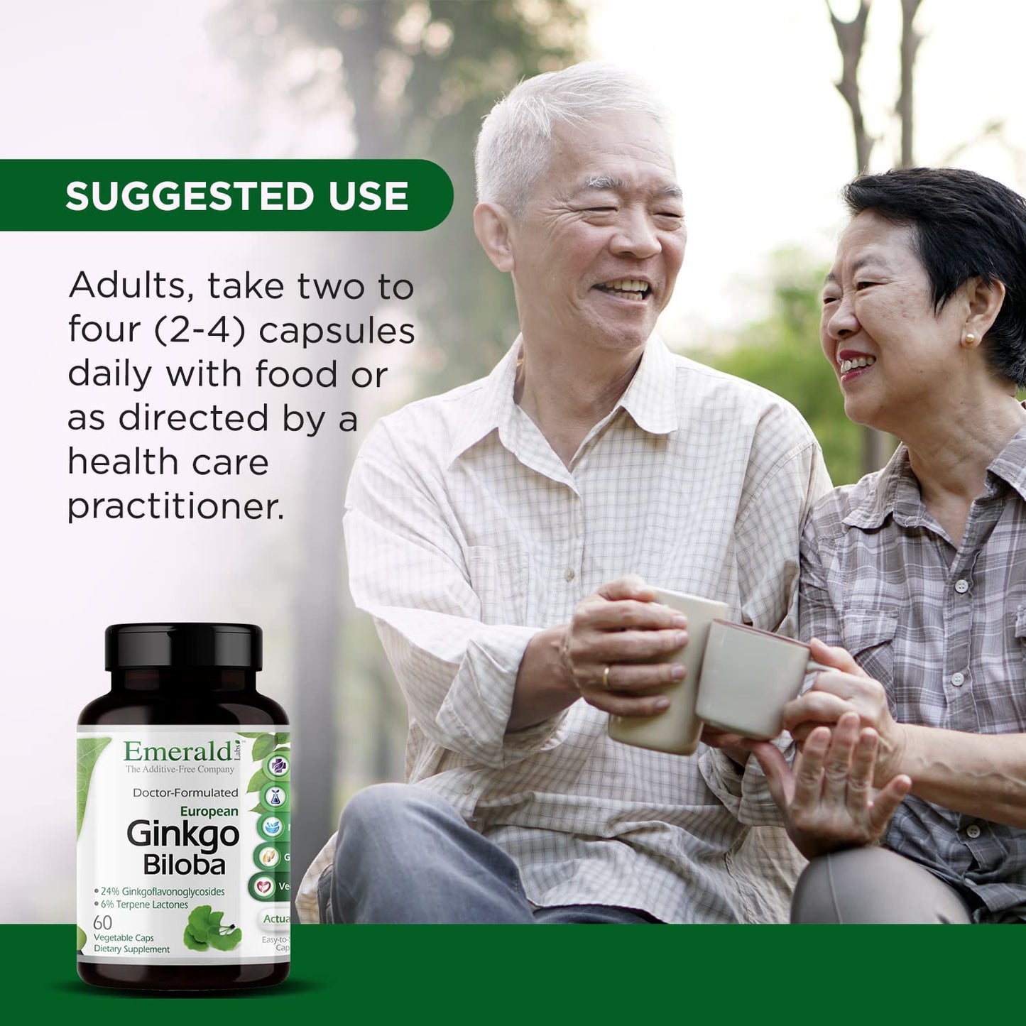 Emerald Labs Ginkgo Biloba Extract - Brain Health & Antioxidant Support - 60 Veg Capsules