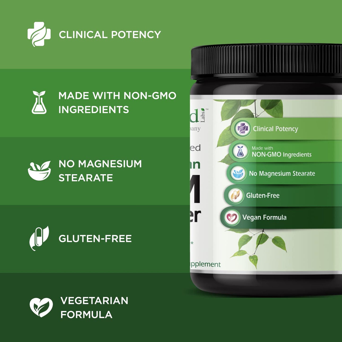 Emerald Labs MSM Powder – Plant-Sourced 4000mg per Serving, Vegan & Gluten-Free – 16 oz (Pack of 2)