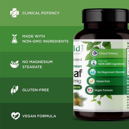 Emerald Labs Mediterranean Olive Leaf 500mg - Gluten-Free Vegan Olive Leaf Extract | 60 Veg Capsules