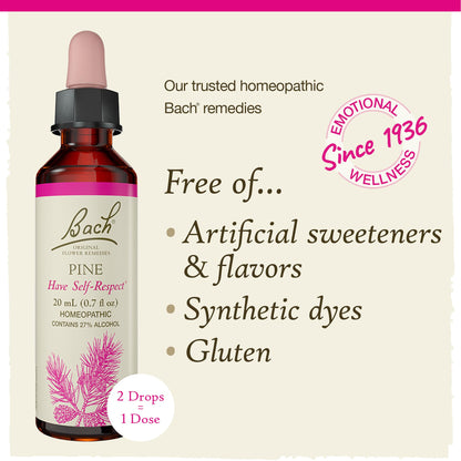 Bach Pine Flower Remedy – Have Self-Respect | 20mL Dropper