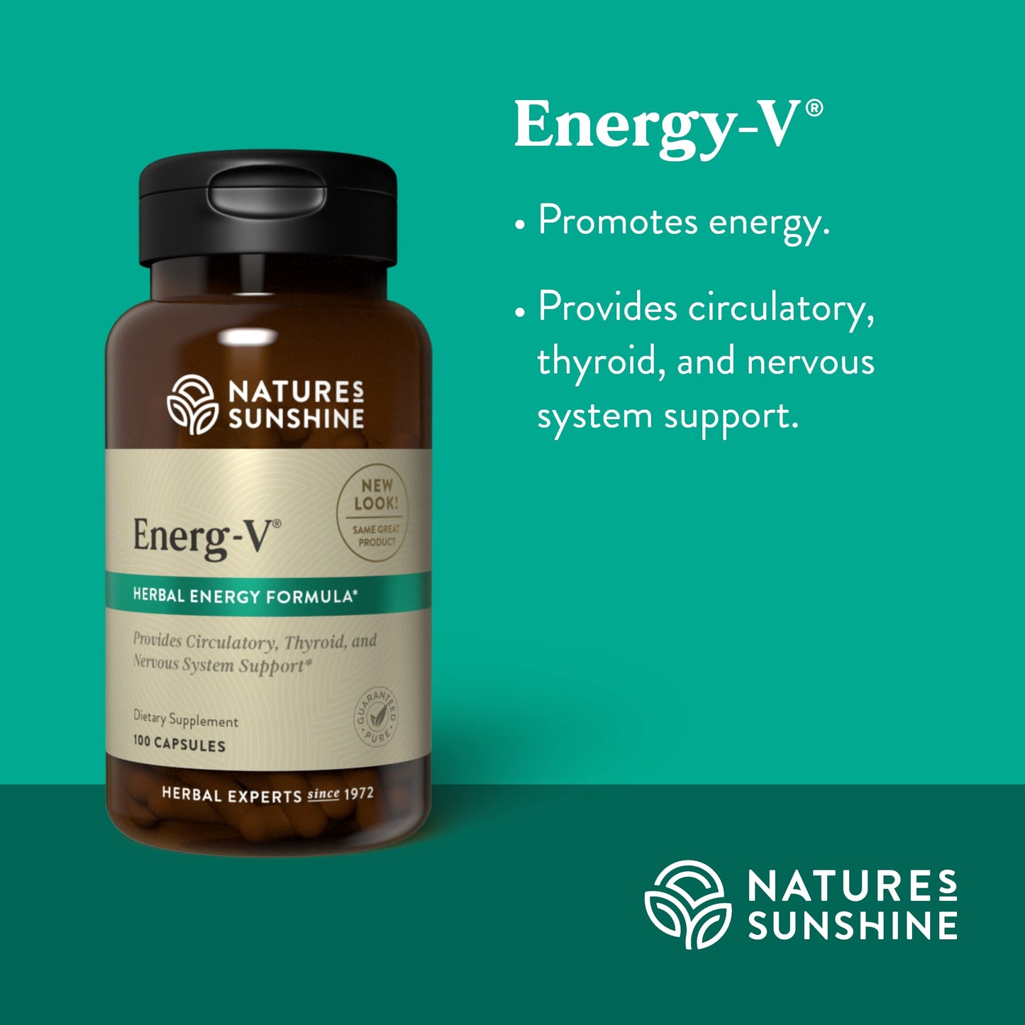 Nature's Sunshine Energ-V 100 Capsules - Natural Energy Support