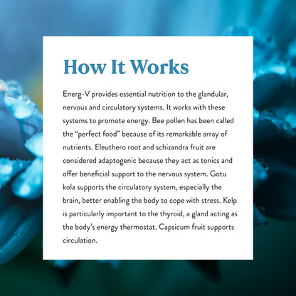 Nature's Sunshine Energ-V 100 Capsules - Natural Energy Support