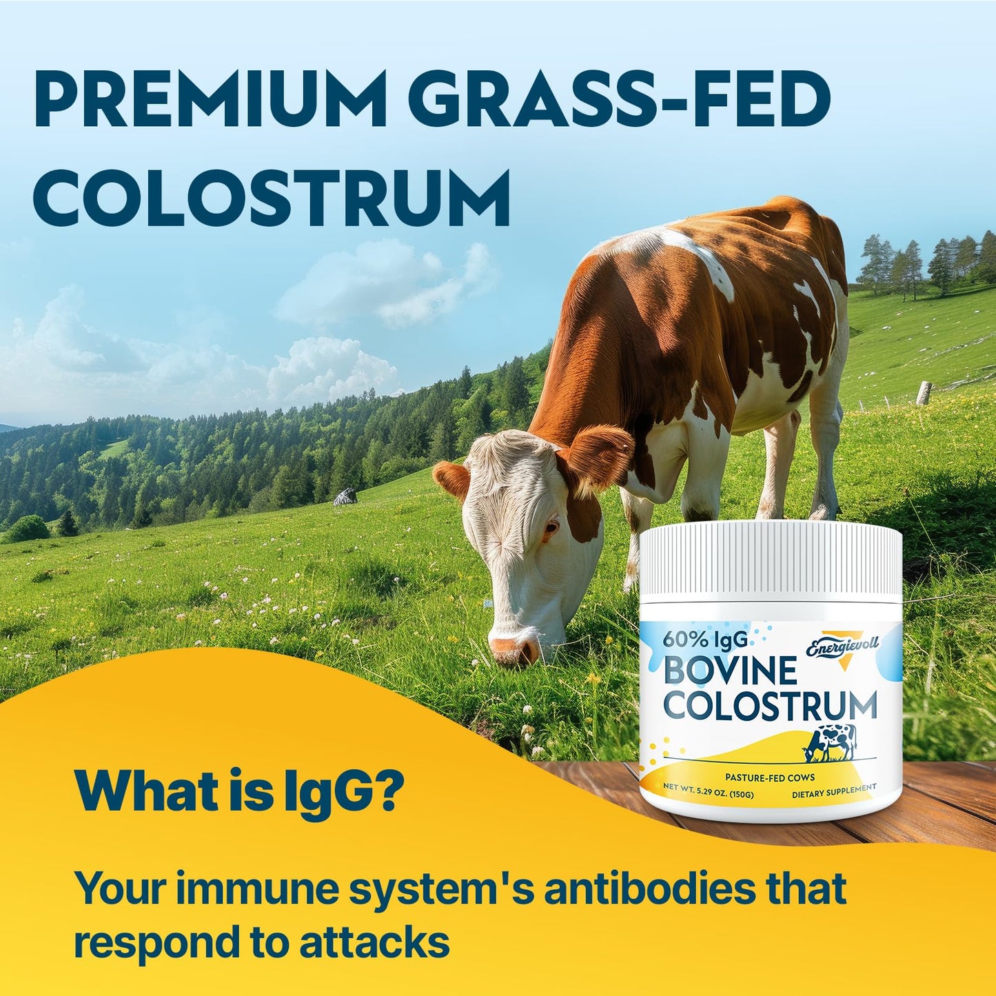Energetic Bovine Colostrum Supplement Powder – 60% IgG, 3000 mg, 50 Servings, Unflavored – Gut & Immune Support