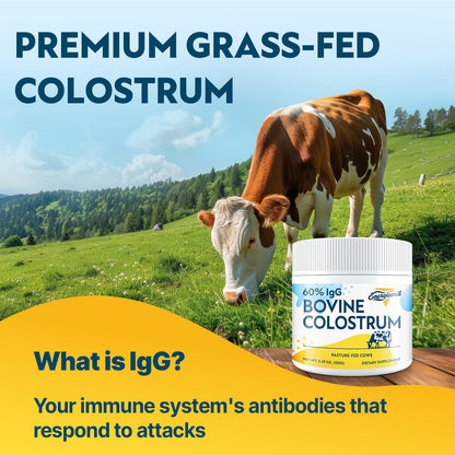 Energetic Bovine Colostrum Supplement Powder – 60% IgG, 3000 mg, 50 Servings, Unflavored – Gut & Immune Support