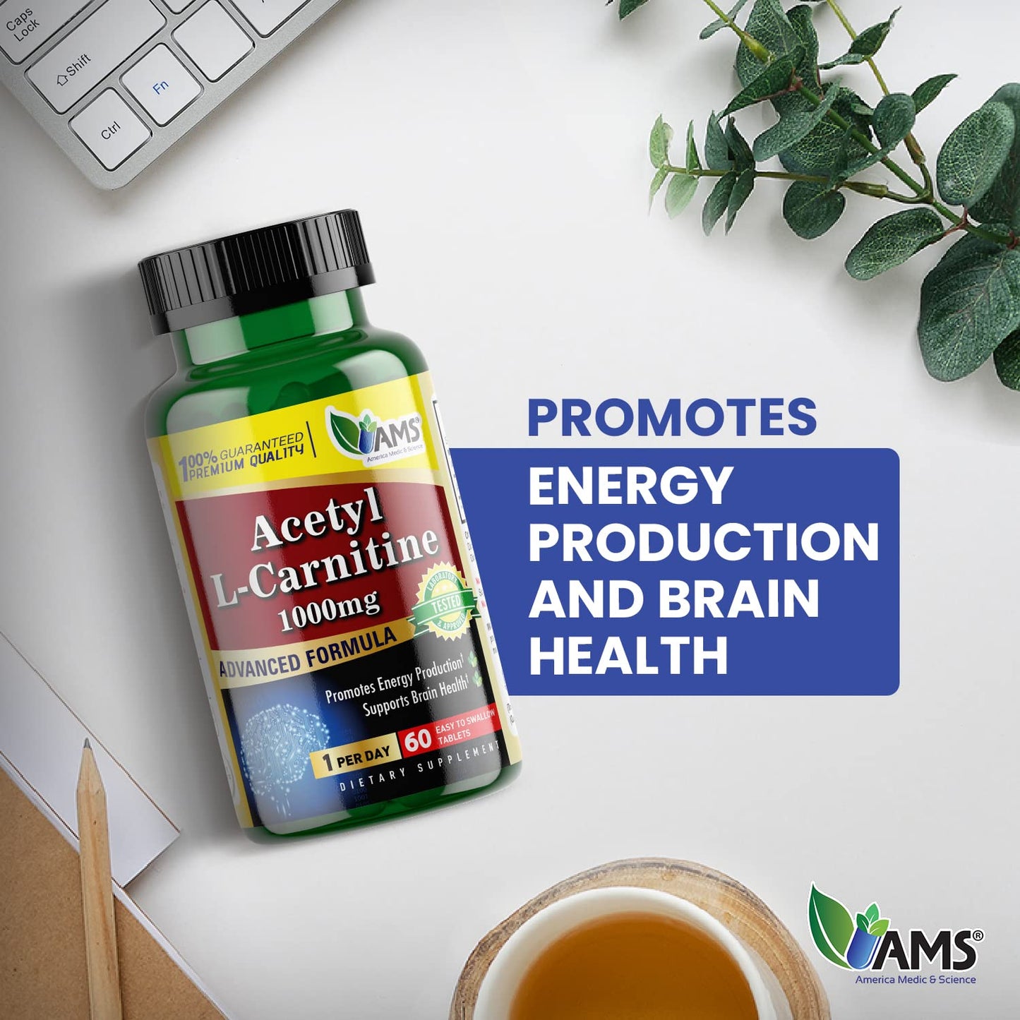 America Medic & Science Acetyl L-Carnitine 1000mg | 60 Tablets | Energy & Brain Health