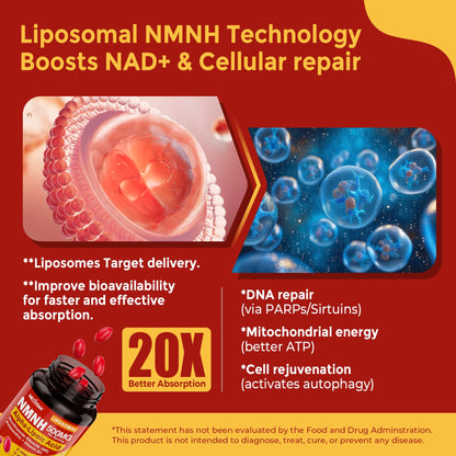 Liposomal NMNH Softgel 500mg with NR, ALA 200mg & Astaxanthin 10mg | Mitochondrial Support & Healthy Aging