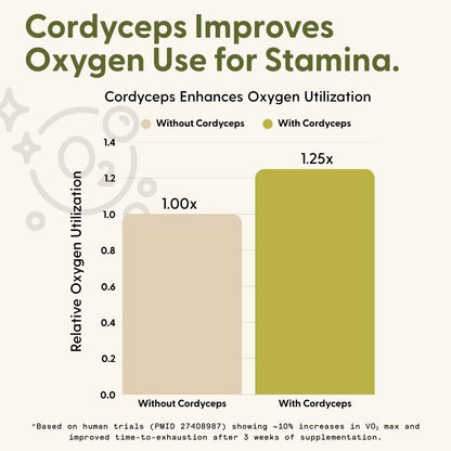 Energy Mushroom Gummies – Organic Lion’s Mane & Cordyceps, Rhodiola, L-Theanine | Vegan & Sugar-Free (60 Gummies)
