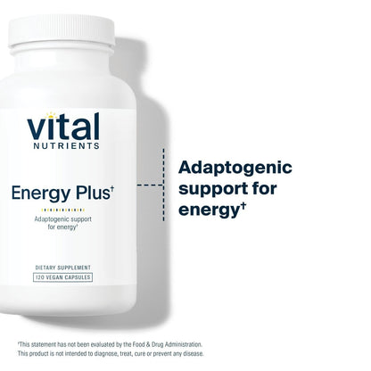 Vital Nutrients Energy Plus – Nonstimulatory Herbal Energy Support | 120 Capsules