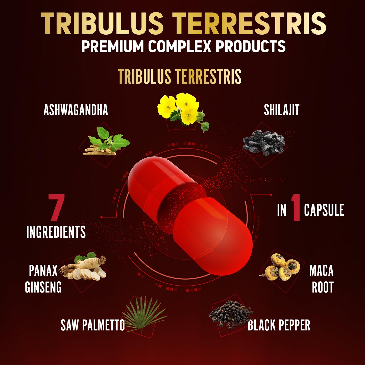 Tribulus Terrestris Capsules with Ashwagandha, Panax Ginseng, Saw Palmetto, Maca, Shilajit — 90 Capsules (3-Month Supply)