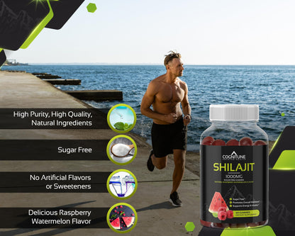 Shilajit Gummies 1000mg – Himalayan Shilajit with Fulvic Acid | Raspberry-Watermelon, Vegan, Sugar-Free