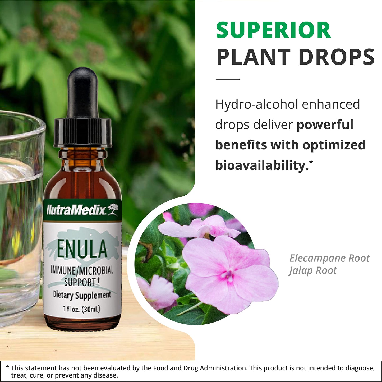 NutraMedix Enula Liquid Drops – Immune Support & Antioxidants (1oz / 30ml)