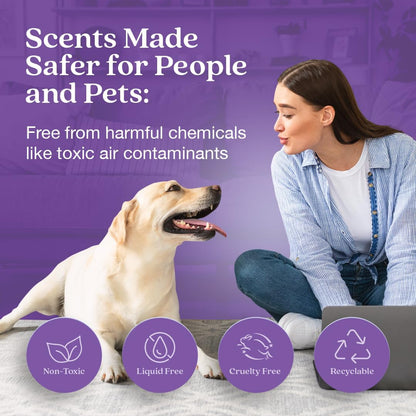 Enviroscent Non-Toxic Air Freshener for Home | Liquid-Free Diffuser | 30+ Day Fragrance Kit (Mango Wood Stand & Scent Stix Refills Lavender Tea & Honey)