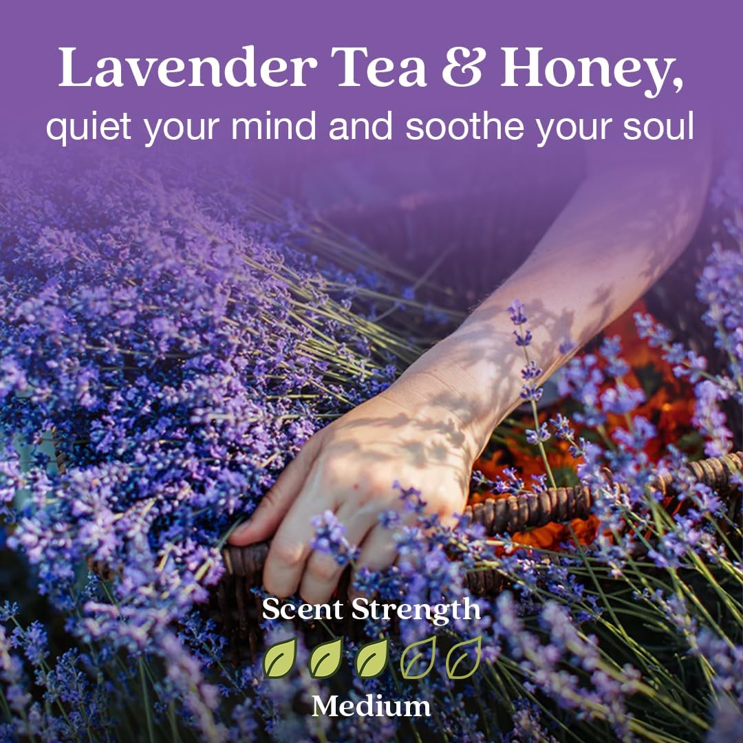 Enviroscent Non-Toxic Air Freshener for Home | Liquid-Free Diffuser | 30+ Day Fragrance Kit (Mango Wood Stand & Scent Stix Refills Lavender Tea & Honey)