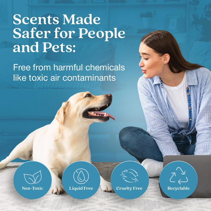 Enviroscent Non-Toxic Air Freshener for Home | Liquid Free Diffuser | 30+ Days | Mango Wood Stand & Scent Stix Refill