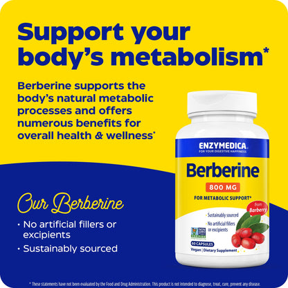Enzymedica Berberine 800 mg – Vegan Metabolic Support Capsules (Pack of 2) | Sustainably Sourced Barberry