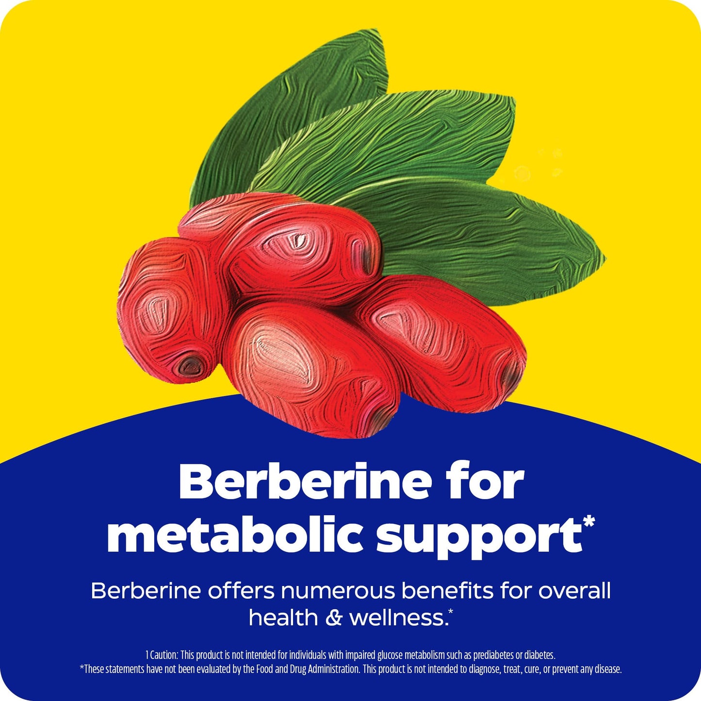 Enzymedica Berberine 800 mg – Vegan Metabolic Support Capsules (Pack of 2) | Sustainably Sourced Barberry