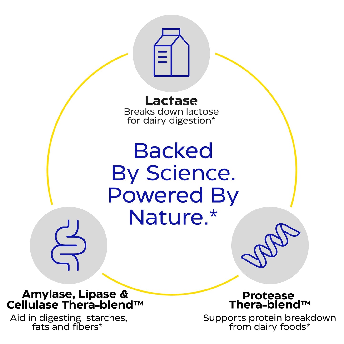Enzymedica Lacto: Pro Lactase Pills for Lactose and Dairy Digestion