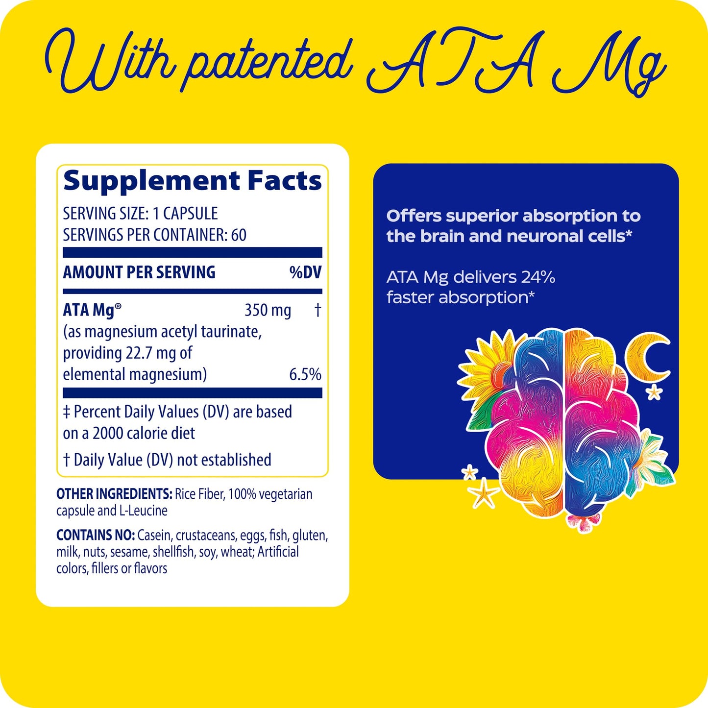 Enzymedica Magnesium Mind with ATA Mg – High-Bioavailability Magnesium for Sleep, Stress & Cognition | 60 Count