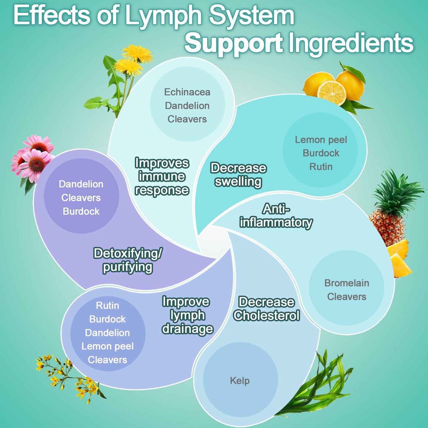 EOCUTE Lymph System Support Supplement with Dandelion Extract, Cleavers & Burdock Powder – 60 Count
