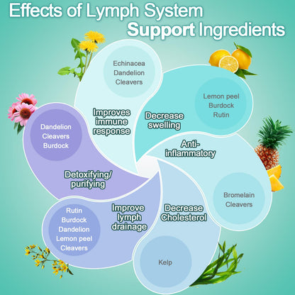 EOCUTE Lymph System Support Supplement with Dandelion Extract, Cleavers & Burdock Powder – 60 Count