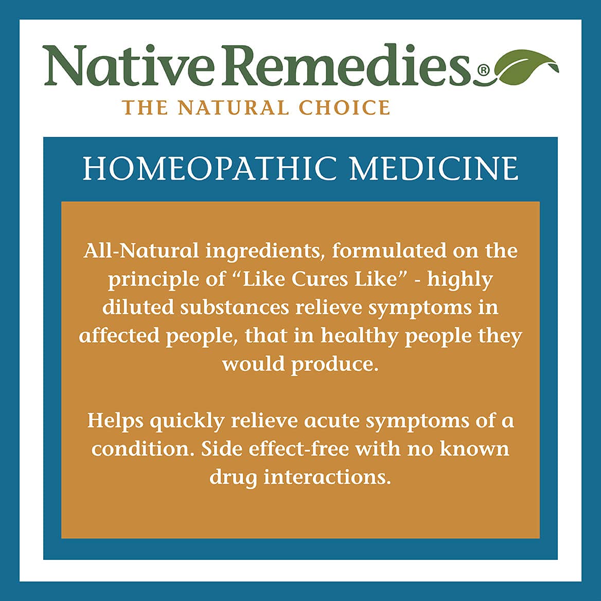 Native Remedies Epi-Still-M - Natural Homeopathic Calm for the Nervous System | 59 mL