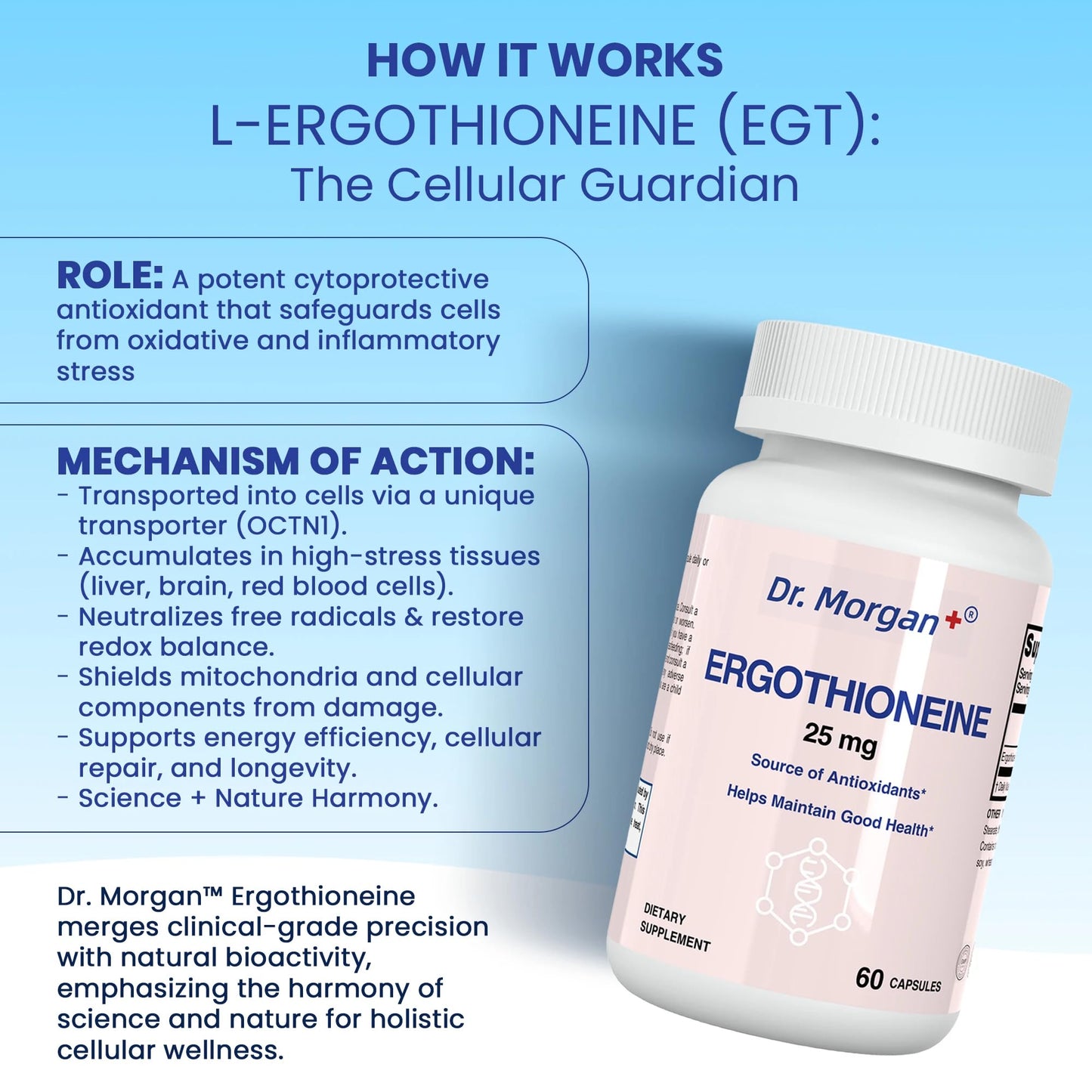 Dr. Morgan Ergothioneine Supplement – 99% Pure Antioxidant Support, Mitochondrial & Cellular Health, 60 Capsules, Made in Canada