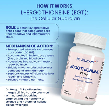 Dr. Morgan Ergothioneine Supplement – 99% Pure Antioxidant Support, Mitochondrial & Cellular Health, 60 Capsules, Made in Canada