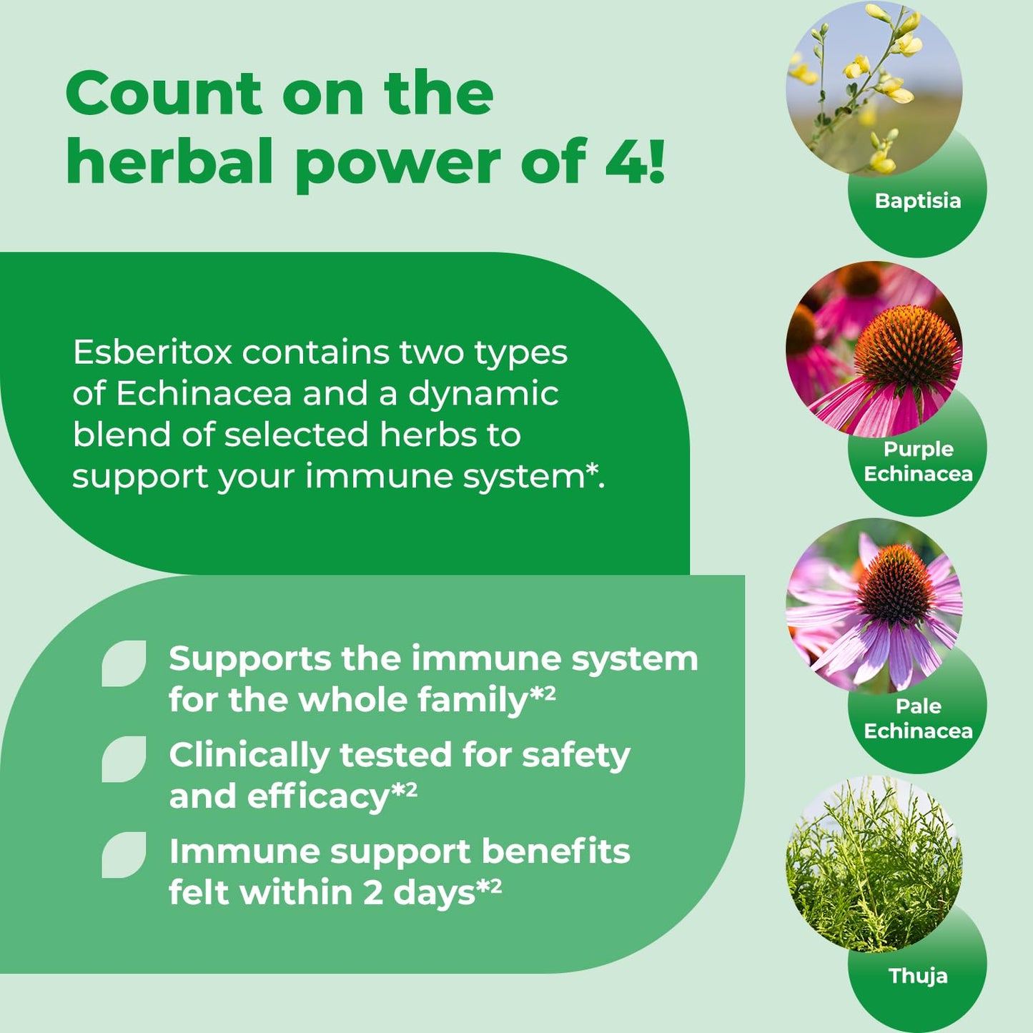 ESBERITOX Supercharged Echinacea – 200 Tablets | Immune Support – Made in Germany