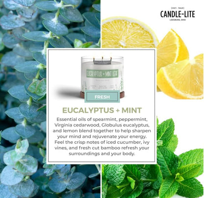 Essential Elements by Candle-lite – Eucalyptus & Mint Leaf Scented Candle, 14.75 oz, 3-Wick, 45 Hr Burn Time, Off-White