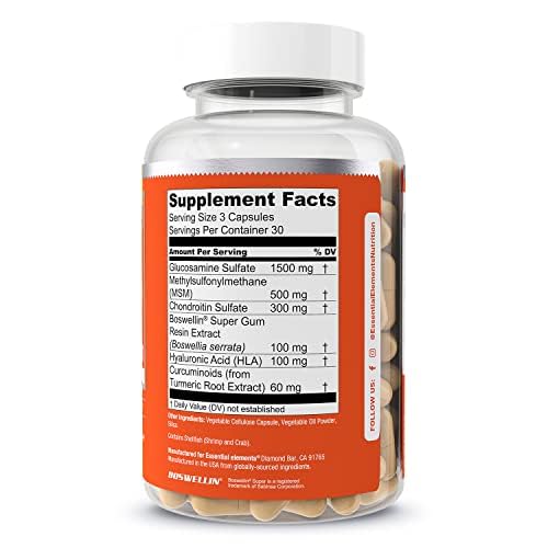 Essential Elements Glucosamine Chondroitin MSM Boswellia – Joint Support, 90 Capsules
