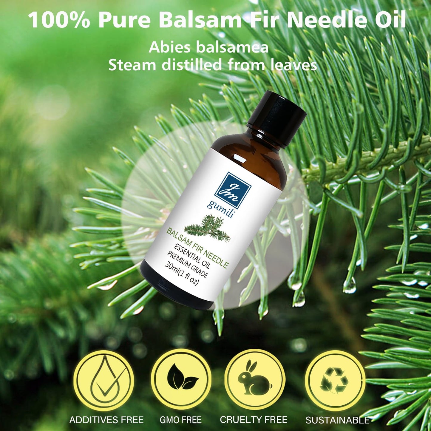 GM Gumili Balsam Fir Needle Essential Oil – 30ml/1fl oz – Pure, Undiluted, Canada-sourced