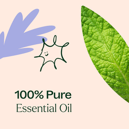 Plant Therapy Respir Aid Essential Oil Blend 10 mL – Sinus, Airway & Congestion Relief (Therapeutic Grade)