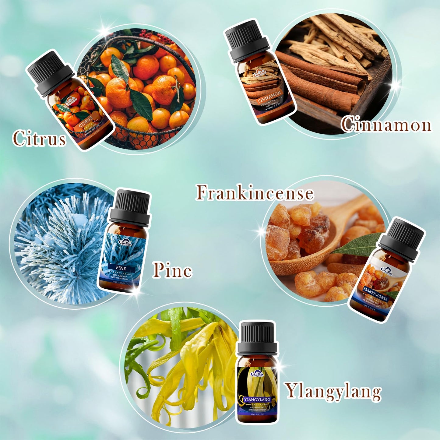 Essential Oil Set – 10 Pcs Diffuser Oils for Home & Aromatherapy | Frankincense, Lavender, Vanilla, Cinnamon, Chamomile