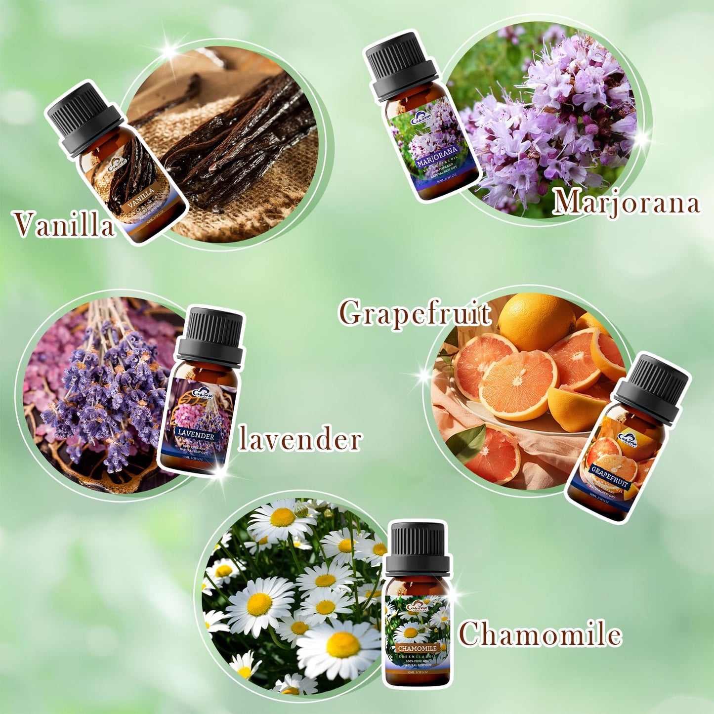 Essential Oil Set – 10 Pcs Diffuser Oils for Home & Aromatherapy | Frankincense, Lavender, Vanilla, Cinnamon, Chamomile