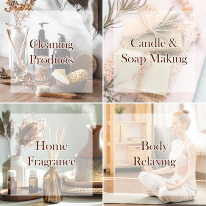 Essential Oil Set – 10 Pcs Diffuser Oils for Home & Aromatherapy | Frankincense, Lavender, Vanilla, Cinnamon, Chamomile