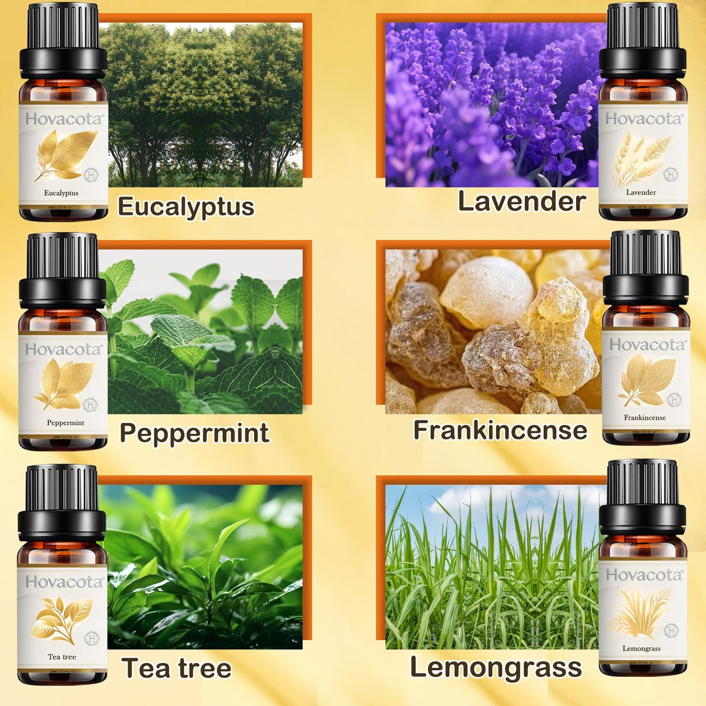 Essential Oil Set - Premium Fragrance Oils for Diffusers (6x10ml)