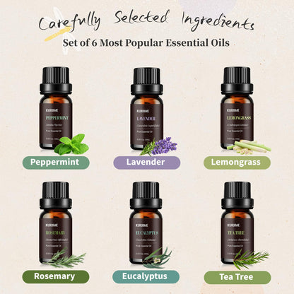 Essential Oil Set - Top 6 Aromatherapy Diffuser Oils (Peppermint, Lavender, Lemongrass, Eucalyptus, Rosemary, Tea Tree) 10ml