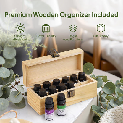 12-Pack Essential Oils for Diffusers – Sleep & Refreshing Scents | Gift Box