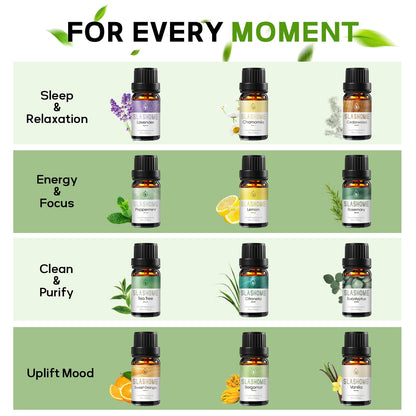 12-Pack Essential Oils for Diffusers – Sleep & Refreshing Scents | Gift Box