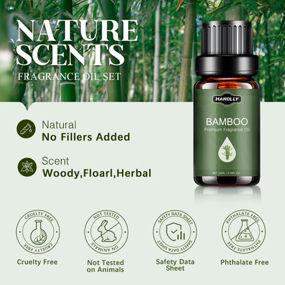 Essential Oils Set – Nature Scents Aromatherapy Kit (6x10ml) Sandalwood & Rose, Bamboo, Rain, Lavender & Chamomile, Fresh Cut Grass, Forest Pine