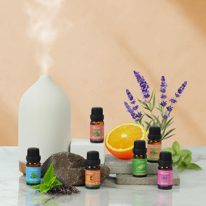Essential Oils Set - Top 6 Organic Blends (Peppermint, Tea Tree, Lavender, Eucalyptus, Lemongrass, Orange) 6x0.33 fl oz