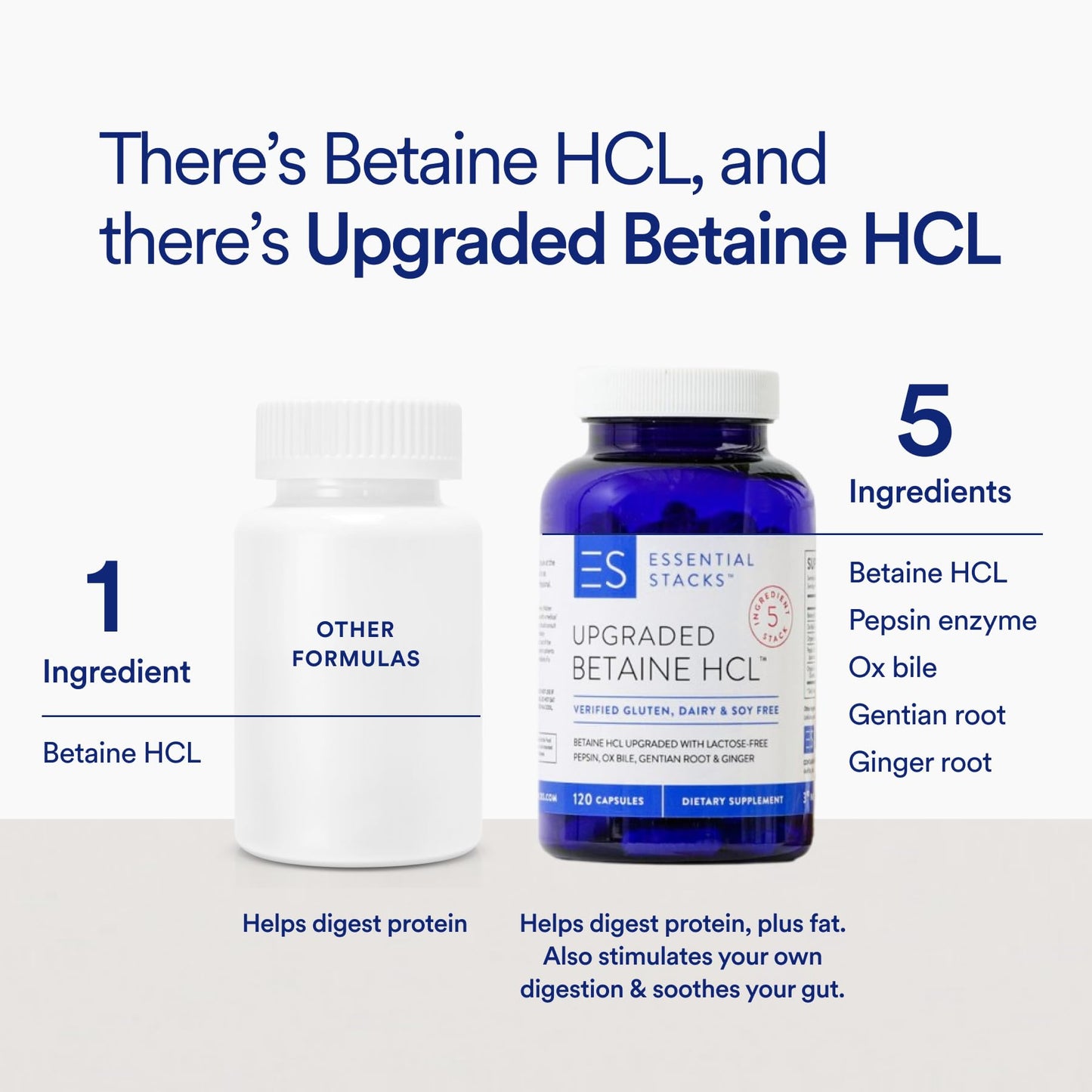 Betaine HCl with Pepsin, Ox Bile & Ginger – Gluten Free Digestive Support (120 Caps)