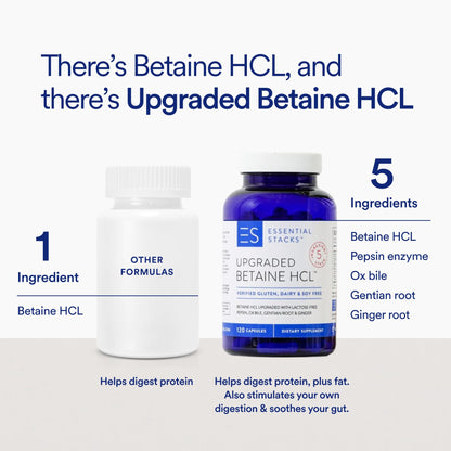 Betaine HCl with Pepsin, Ox Bile & Ginger – Gluten Free Digestive Support (120 Caps)