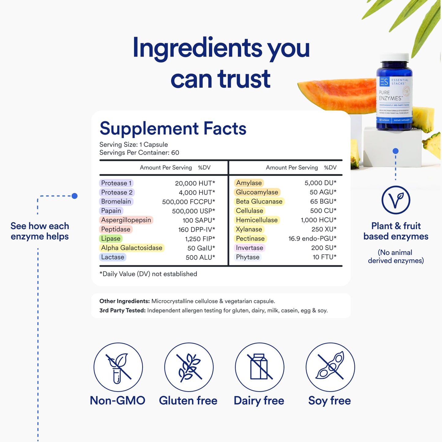 Essential Stacks Digestive Enzymes - Gluten/Dairy/Soy Free, 60 Caps