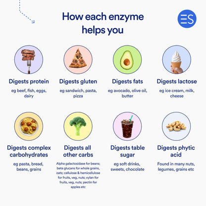Essential Stacks Digestive Enzymes - Gluten/Dairy/Soy Free, 60 Caps