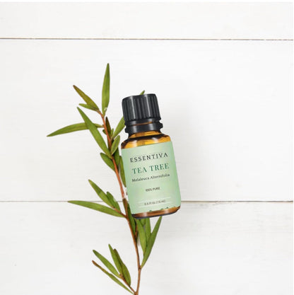 Essentiva Tea Tree Oil 100% Pure Essential Oil | Aromatherapy & Cleaning