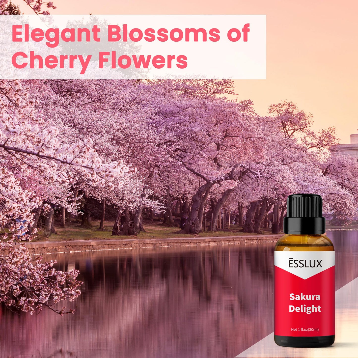 Sakura Delight Fragrance Oil – Cherry Blossom Aromatherapy, 30 ml | ESSLUX