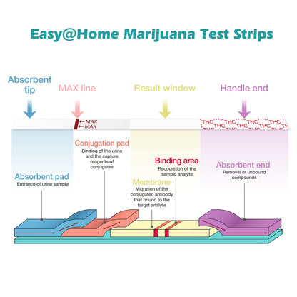 Easy@Home THC Drug Test Strips - 10 Pack Urine Test Kit (50 ng/mL) ESTH-115
